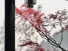 -金海华·华宴江南(斜塘店)
