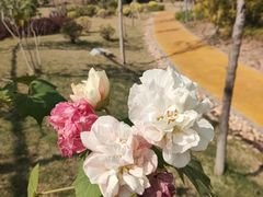 -中国移动南方基地