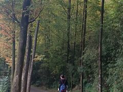 -龙窝子