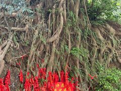 -飞霞风景名胜区