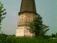 android_upload_pic-红山国家森林公园