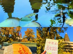 -北京石刻艺术博物馆(五塔寺)