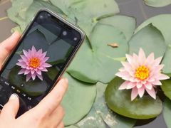 -云溪植物园
