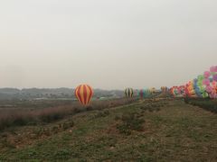 -空港花田景区