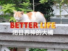 -麦当劳(沙面店)