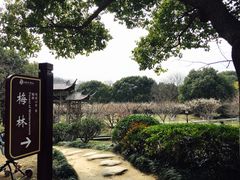 -白马涧龙池景区