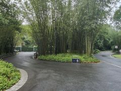 -广州市白云山风景名胜区