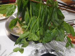 -牛华八婆麻辣烫(龙湖U城店)
