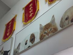 -爱侣宠医·鹦鹉专科·小型哺乳类·异宠专科(灵石路店)