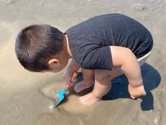 -奉贤海滩