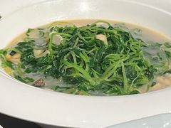 -三利音·浦之舟(滨江大道店)