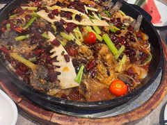 -老板恋上鱼(恒隆广场店)