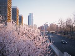 -玲珑塔公园
