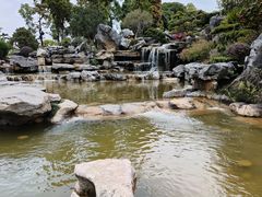 -东莞植物园