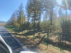 -塞罕坝国家级自然保护区