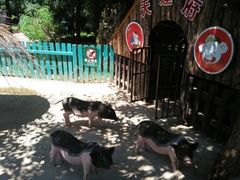 -大连森林动物园