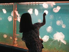 -左海海底世界