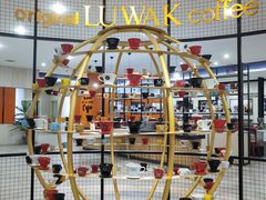 -巴厘岛黄金金兔咖啡工厂