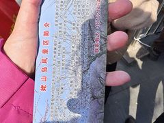 -巢湖姥山岛