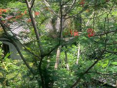 -七仙岭温泉国家森林公园