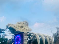 -苏州乐园森林水世界