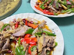 -煲来饱去冷水鱼