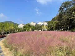-南京老山国家森林公园