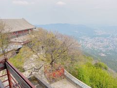 -香山公园