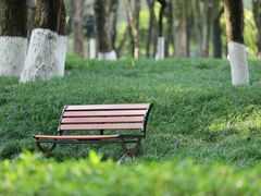 -重庆市江北嘴中央商务区中央公园