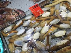 -渔傅·蓝海岸霞浦海鲜(正祥店)