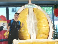 -都念榴莲·城市榴莲