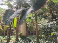 -龙达温泉生态城