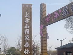 -苏州上方山国家森林公园