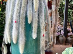 -山菌美食苑(振兴路店)