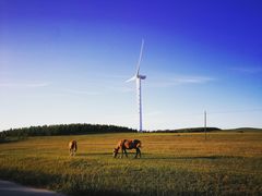 -塞罕坝国家级自然保护区