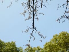 -东南大学(九龙湖校区)