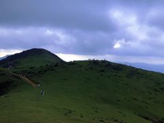 -大姆山草场