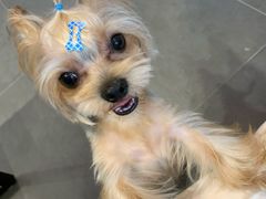 -哈尼爱宠·宠物生活会馆