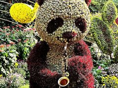 -杭州植物园