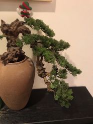 -盘子女人坊古装写真摄影(天津总店)