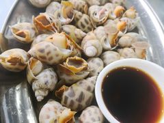 -七鲜渔港美食餐厅(巽寮湾海景店)