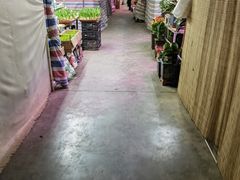 -花鸟鱼虫鲜花绿植市场(玉泉路店)