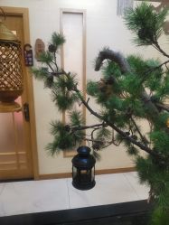 -芳朵美容养生SPA