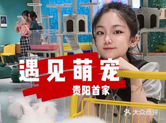 贵阳｜萌宠哪里跑？遇见萌宠撸貂啦