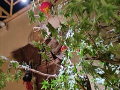 -吃饭皇帝大(合生汇店)