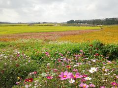 -光明小镇欢乐田园