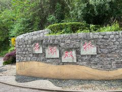 -重庆彩云湖湿地公园