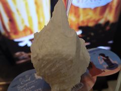 -野人先生现做冰淇淋(北京环宇荟店)