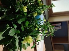 -本处·素食·融合料理(南油店)