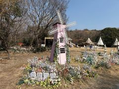 -白马涧龙池景区